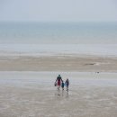 서천 바닷가 갯벌 이미지