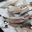 재우해양수산 이미지