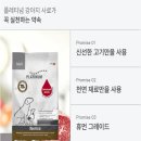 진주멍냥마켓