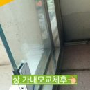 상하약국
