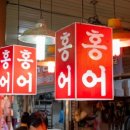 홍어사랑 이미지