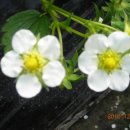 한솔이네농장 이미지