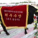 제주 흑우 이미지