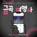 금곡국제여행사 - 중구 남대문로9길 40 | 금곡국제여행사