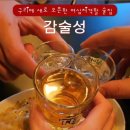 감술성