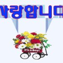 송림바다생선구이식당 이미지