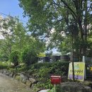 강당골캠핑파크 이미지