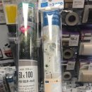 원꽃집 | 롯데 마트 알뜰 꽃화분 추천! 산취 선인장 3000원 실화야 이거?