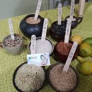 양지 농장2 이미지