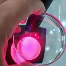 독립로L 이미지