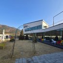 그리고(GRIGO) | 🌲 청도 대형 베이커리 카페 GRIGO(그리고) 다녀온 후기