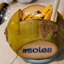 필터탑스코리아 | 세부 여행기 솔레아리조트 팜동 필리핀 막탄섬 케이마트 아이와휴양지