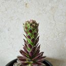 (주)대창화학 이미지