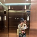 태산렌트카 | 스카이 온 파이브 다이닝 | 김포공항 워터파크 수유실 후기 | 모유수유 4개월 아기랑, 38개월 첫째