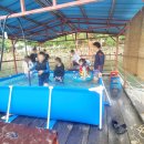 팽나무펜션 이미지