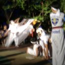 극동태권도체육관 이미지