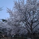 금강신세 이미지