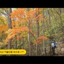 '24.10.29. 속리산 가을단풍 산행 이미지