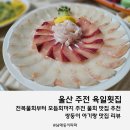 울산 육일횟집 아이랑 맛집 추천! 육일, 전복물회부터 우럭구이까지 주전 물회 맛집 추천