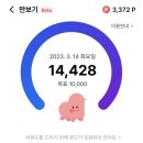 데이롱 까페 강서화곡점