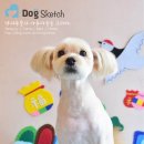 Happy 애견샵 이미지