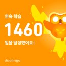 [2605.zip] 세상이 핑크퐁이었다가 먹구름이었다가