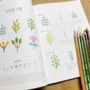 그림 초보자도 쉬운 색연필 그리기 이미지