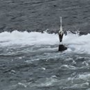 남순천의원 이미지