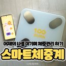 어제의 나의 몸무게보다 가벼워지게 100BURN 가정용인바디로 체계적으로 관리하기