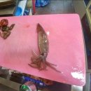 대모회센타 이미지