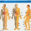 지압혈 침술혈 쑥뜸혈 자리 사진 이미지