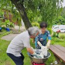 도화헌미술관 이미지