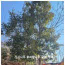 두가시 농장 이미지