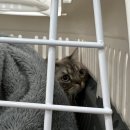 옥천동물병원 이미지