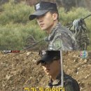 엠버홀릭
