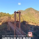 북면159 | [붱순이 나들이] 창원 북면 가볼만한곳 아찔한 마금산온천 구름다리