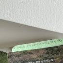 드비취이 | 2025년 3월 일기 (2)