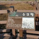 대명천 이미지