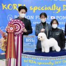 BICHON KOREA 이미지