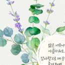 한마음초등학교 | 내가 남긴 발자취가 메아리로, 고맙습니다.