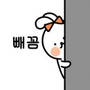 케이크꼬모 이미지
