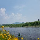 아라파크 이미지