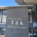 푸른코끼리 | 오키나와 바다가 한눈에 터지는 순간! 만좌모에서 만난 코끼리 절벽 후기