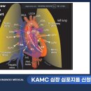 고려동물메디컬센터 이미지