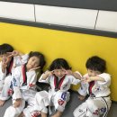 용인대 경일태권도 이미지