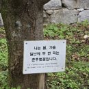 내소사 시골장터 이미지