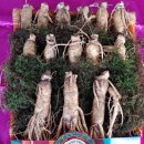 신선유통 이미지