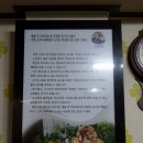 소쿠리왕족발