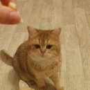 부산뱅갈하우스 이미지