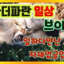 커피더파니 이미지